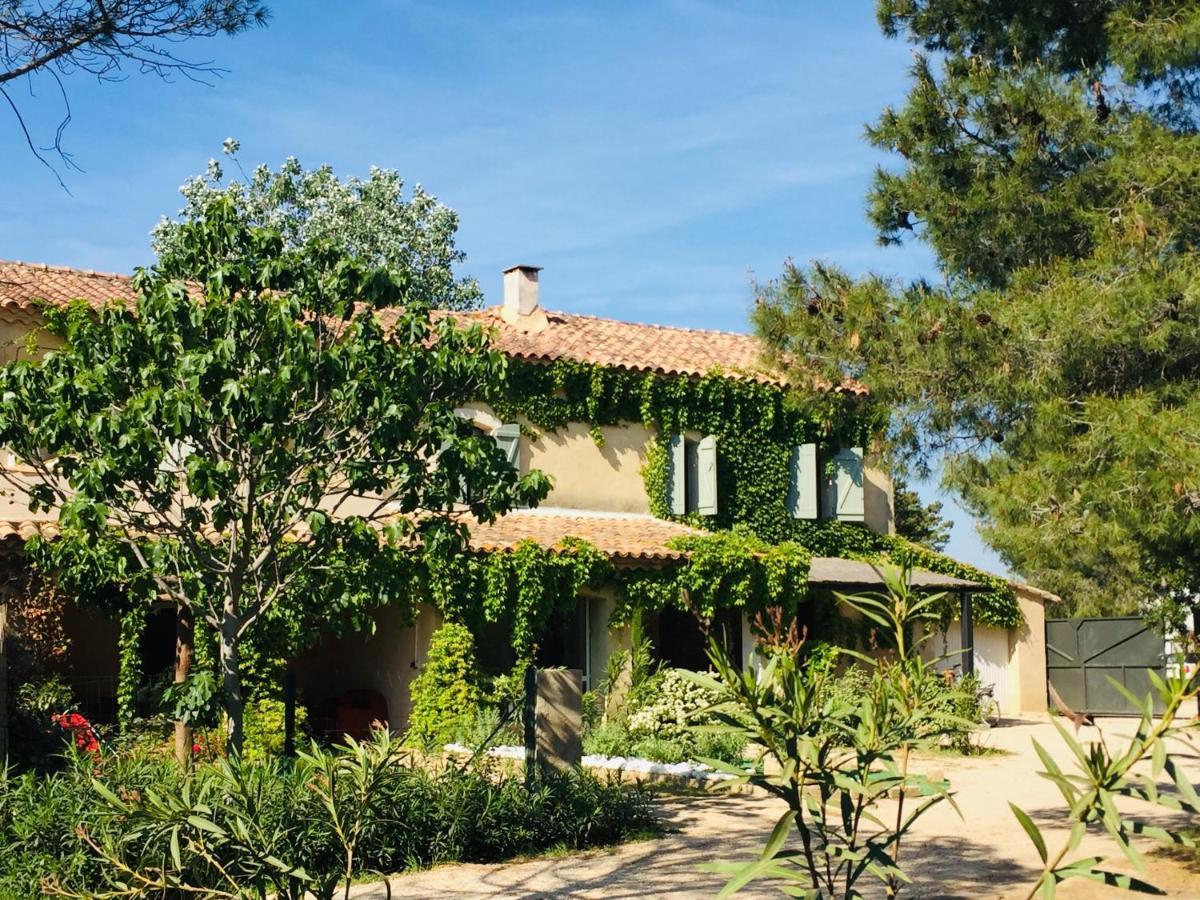 La Maison Des Voyageurs Arles Exterior foto